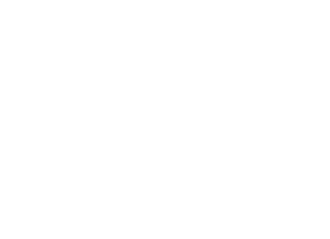Neiser Sales, Work + Western