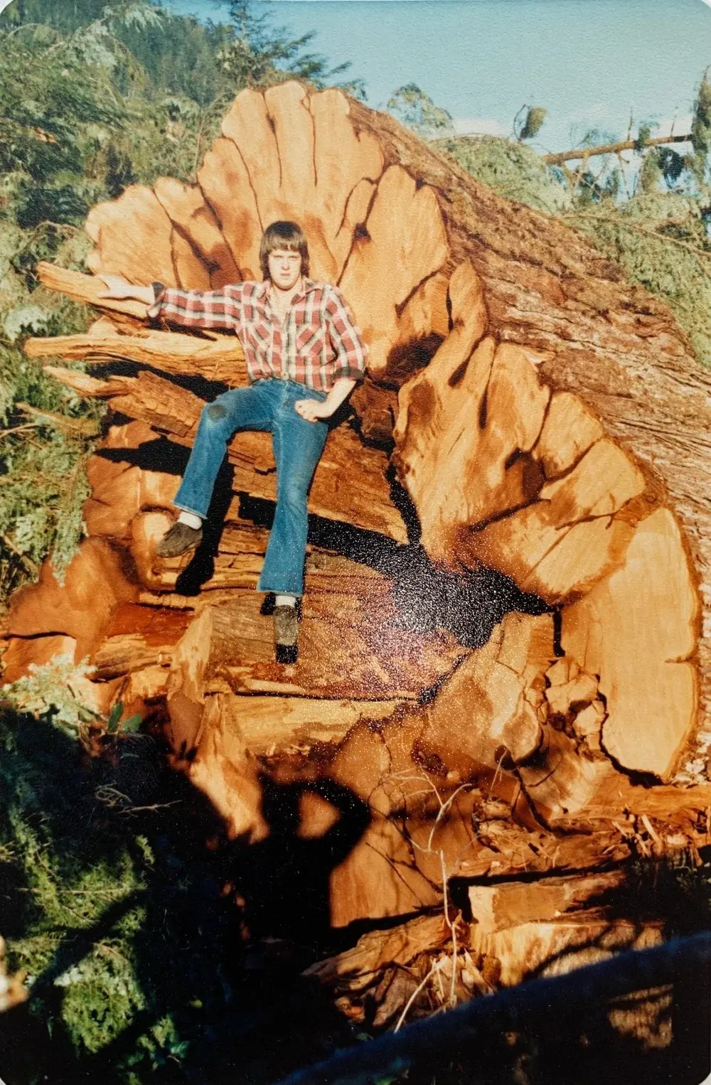 Western wear on a coastal fir stump near Lake Cowichan